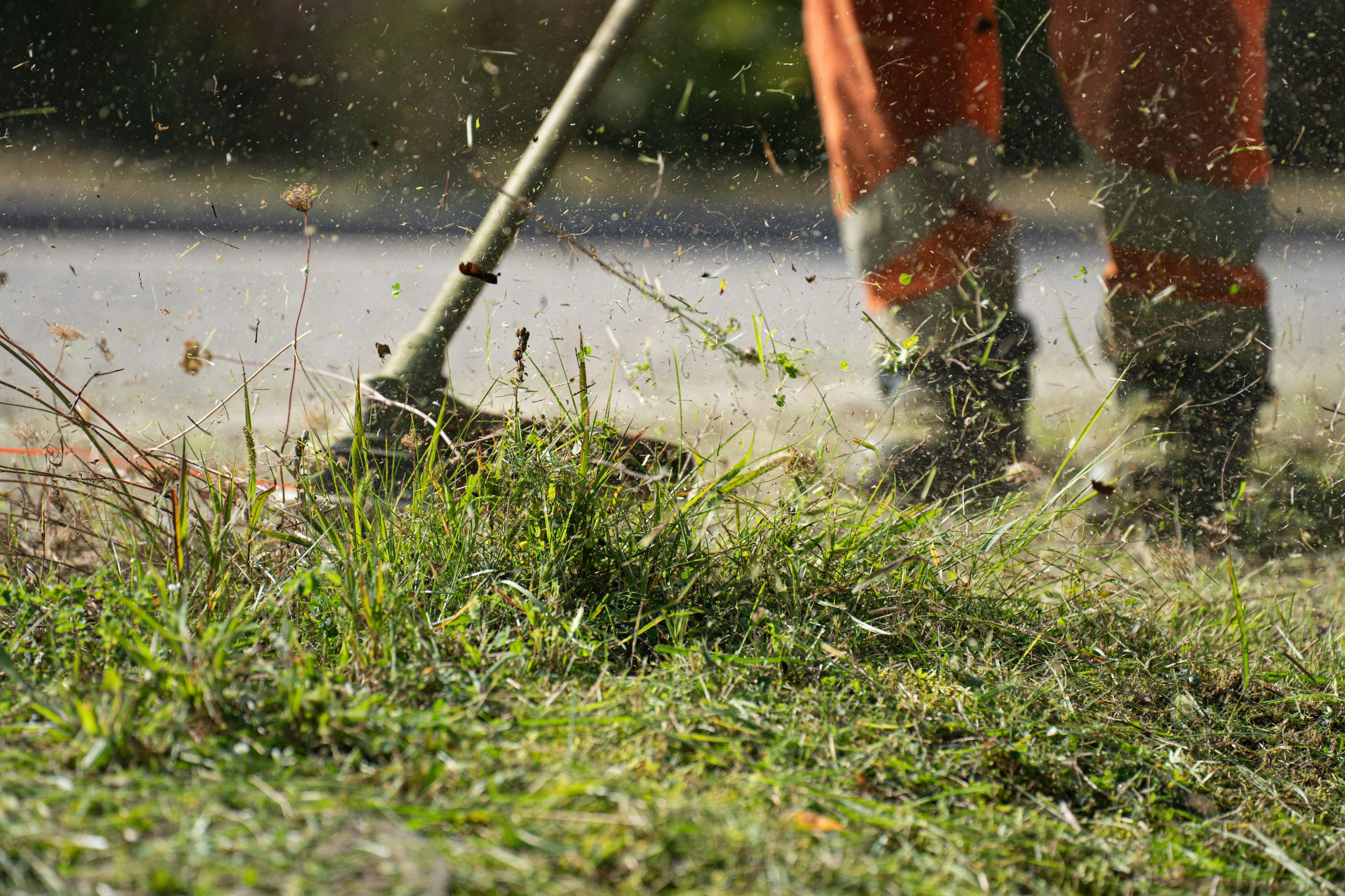 Lawn Mowing-Trimming2-min