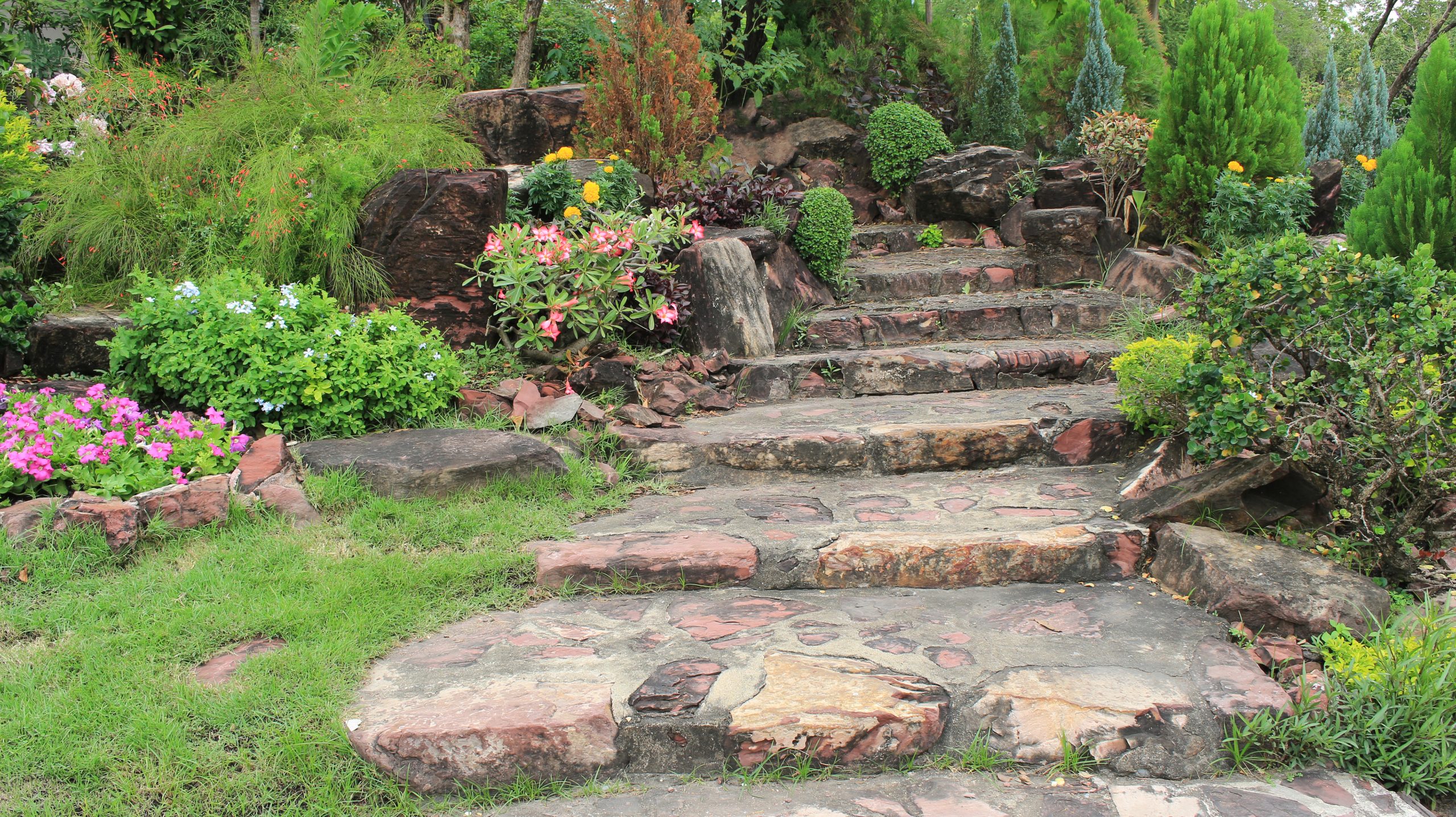 Colourful Flowerbed with pathway in a Beautiful Public Garden